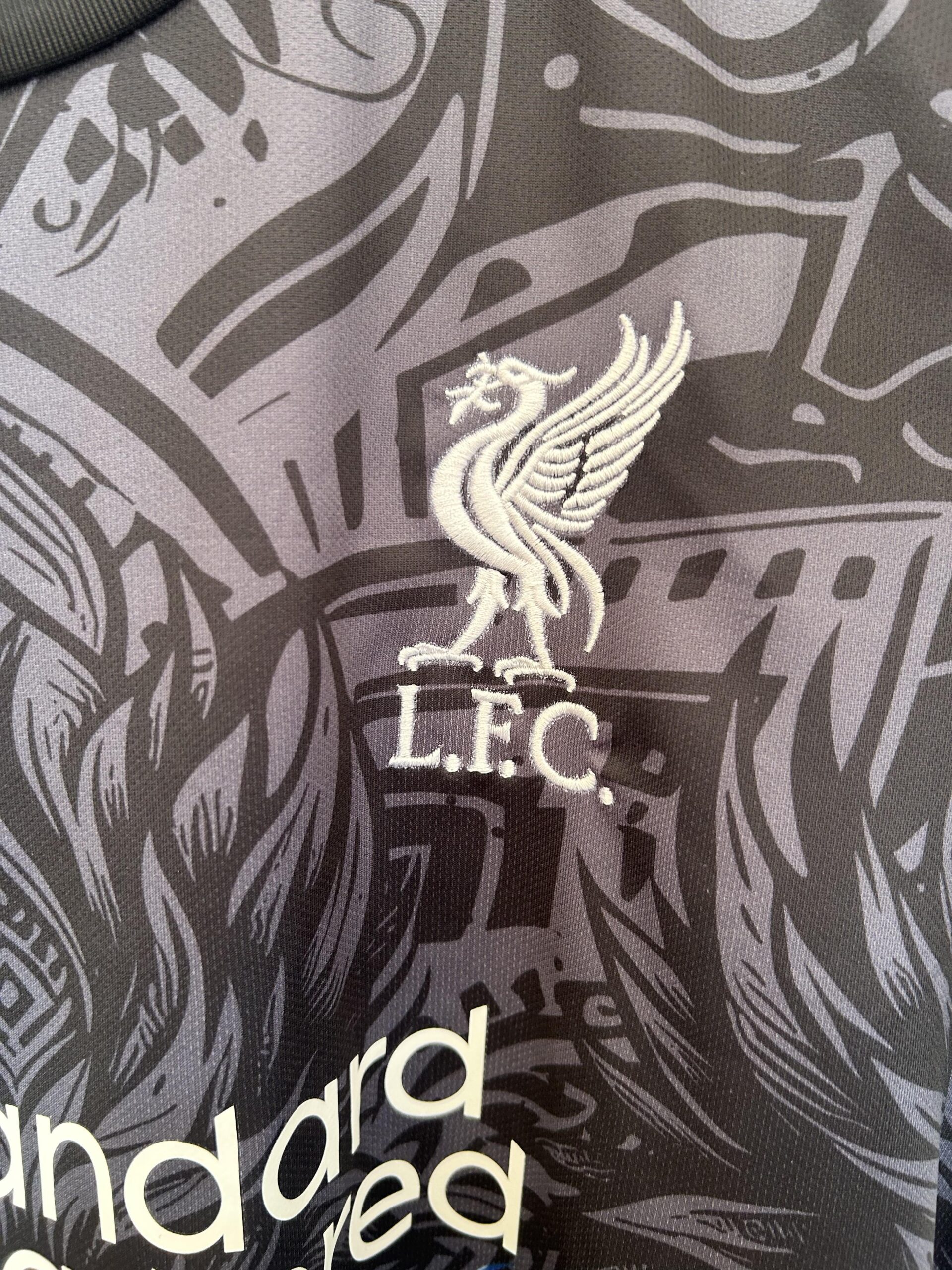 Liverpool Blue Phoenix eagle Special Kit - Image 3