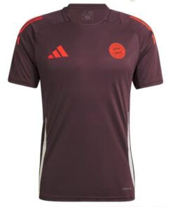 Bayern Munich 2024/25 Men’s Teamline Training Shirt