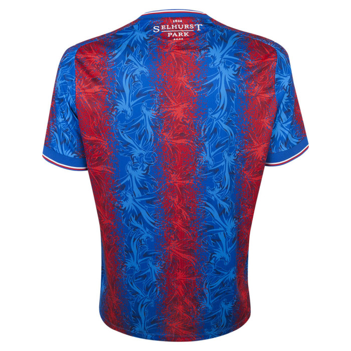 Crystal Palace 2024/25 Youth Home Shirt back view