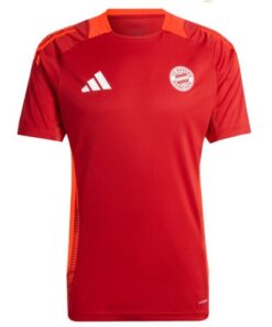 Bayern Munich 2024/25 Men’s Teamline Coach Training Shirt