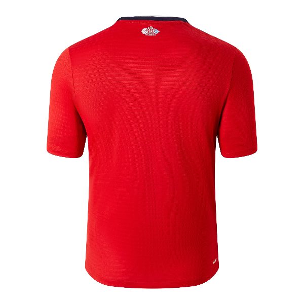 Lille LOSC 2024/25 Youth Home Shirt back view