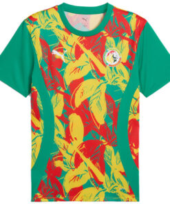 Senegal Pre Match Training Top