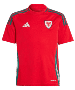 Wales 2024 Youth Home Shirt