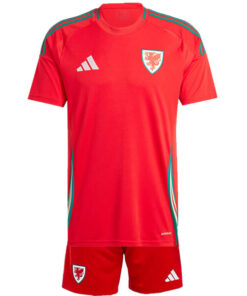 Wales Home Kids Kit 2024